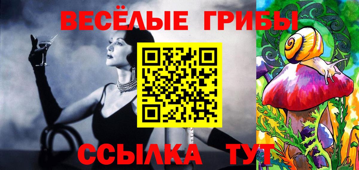 Псилоцибиновые грибы Psilocybe  Вход с VPN  Камышин 