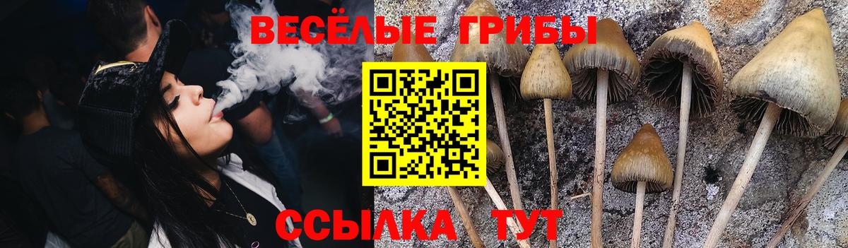 Галлюциногенные грибы ЛСД Камышин